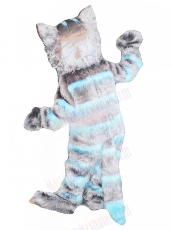 cat mascot costume