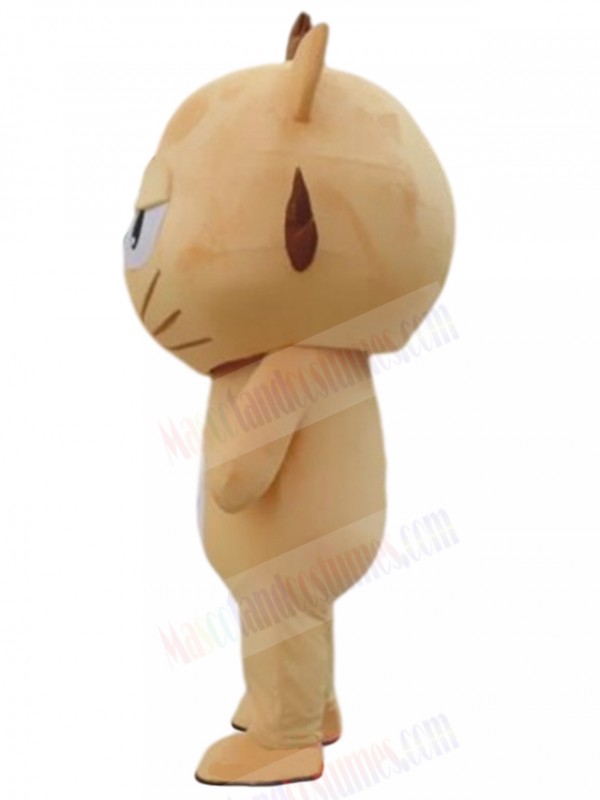 cat mascot costume