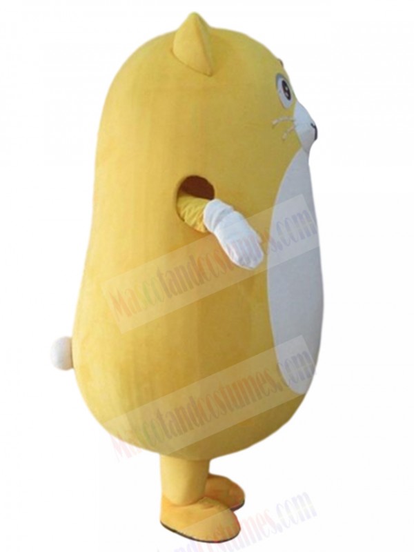 Cat mascot costume