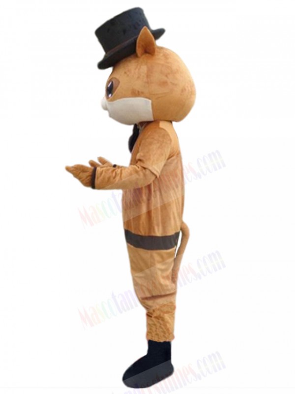 cat mascot costume