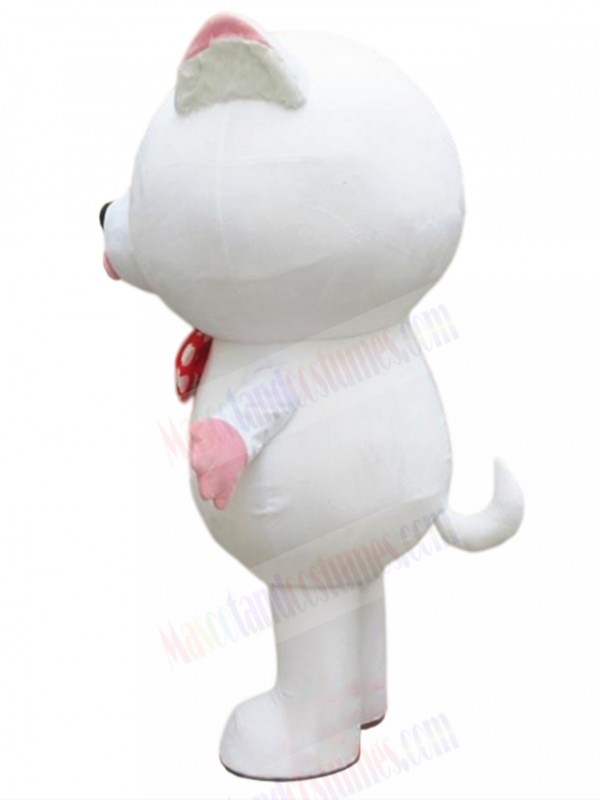 cat mascot costume