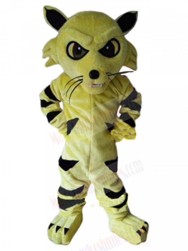 cat mascot costume