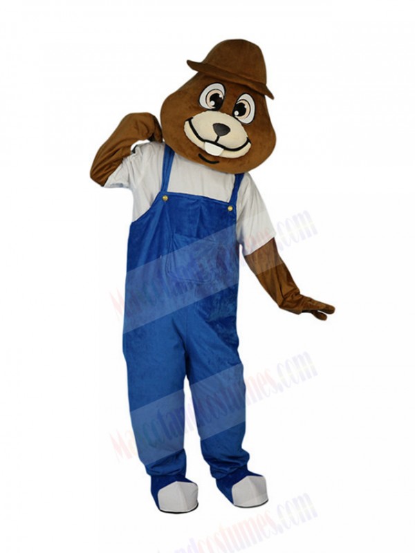 mole mascot costume