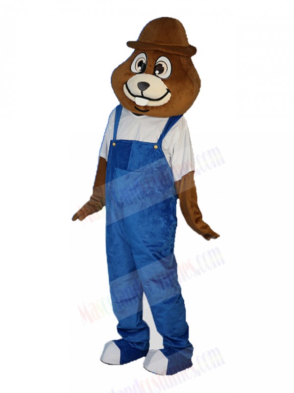 mole mascot costume