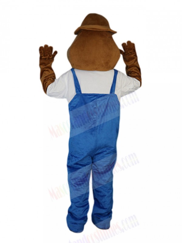 mole mascot costume