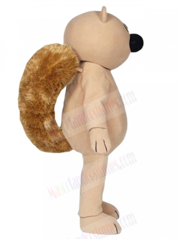 Squirrel mascot costume