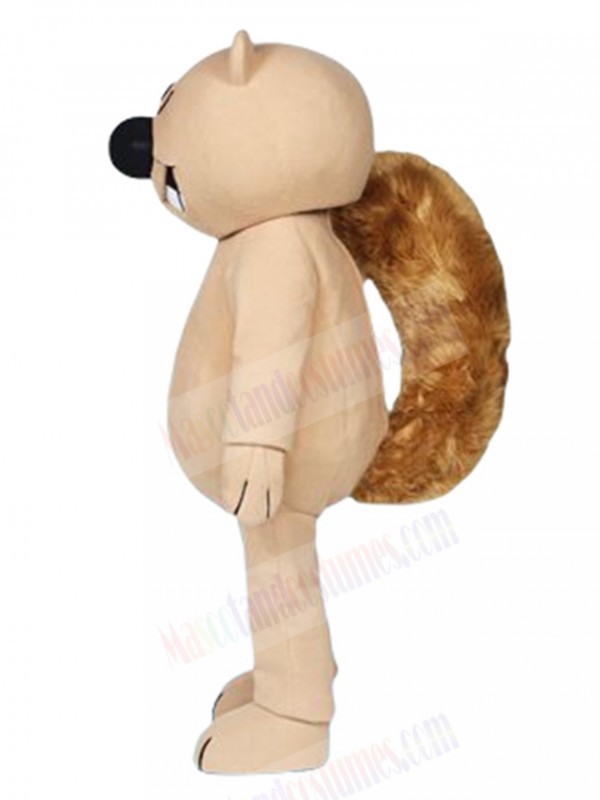 Squirrel mascot costume