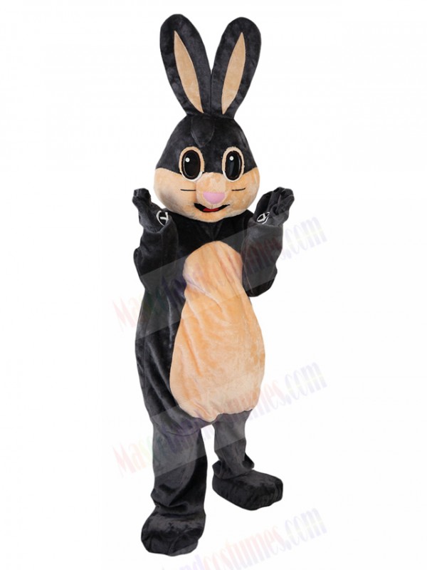 Rabbit mascot costume