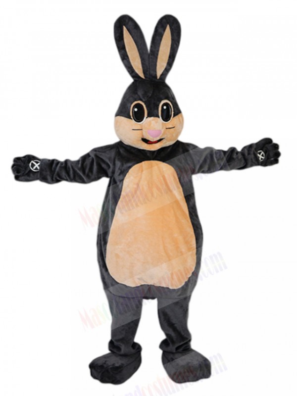 Rabbit mascot costume
