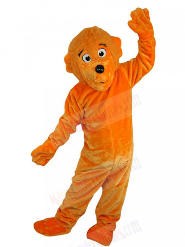 Bear mascot costume