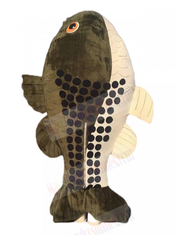 Fish mascot costume