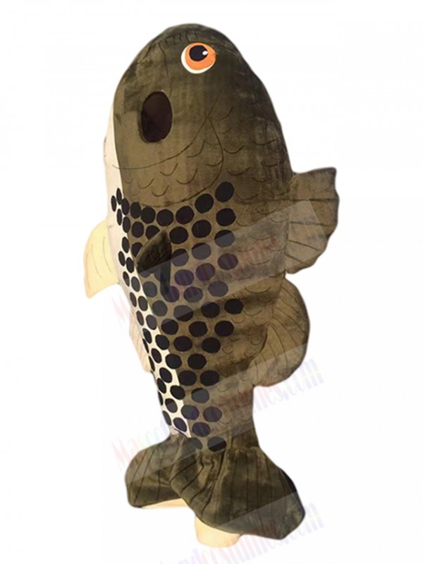 Fish mascot costume