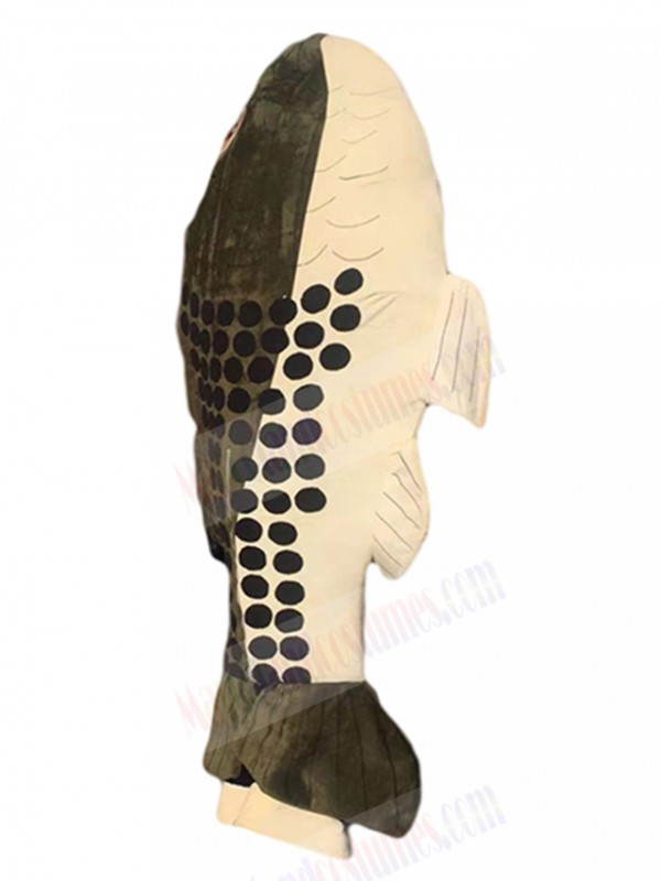 Fish mascot costume