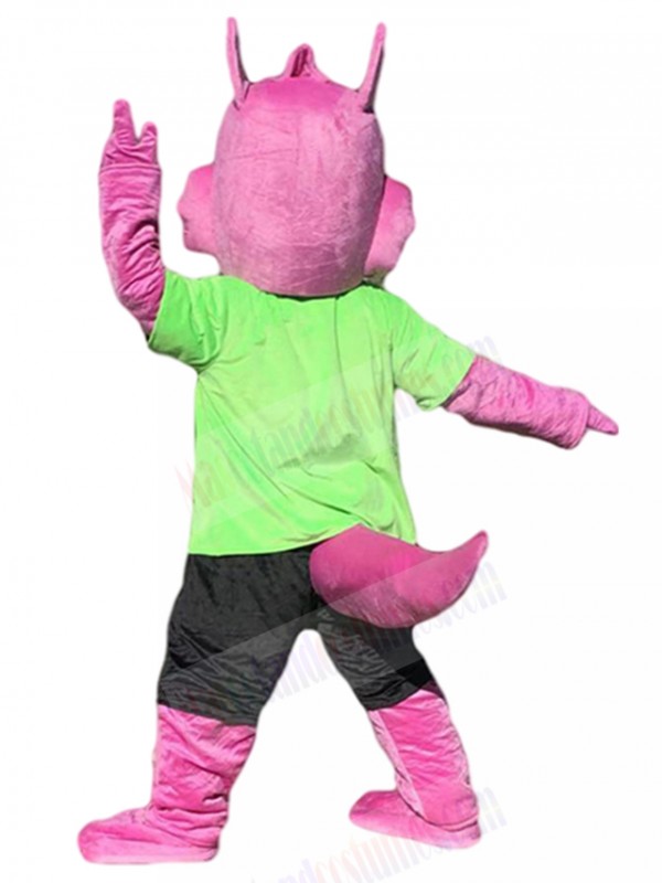 Squirrel mascot costume