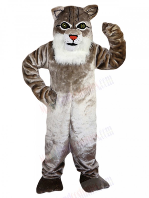 wildcat mascot costume