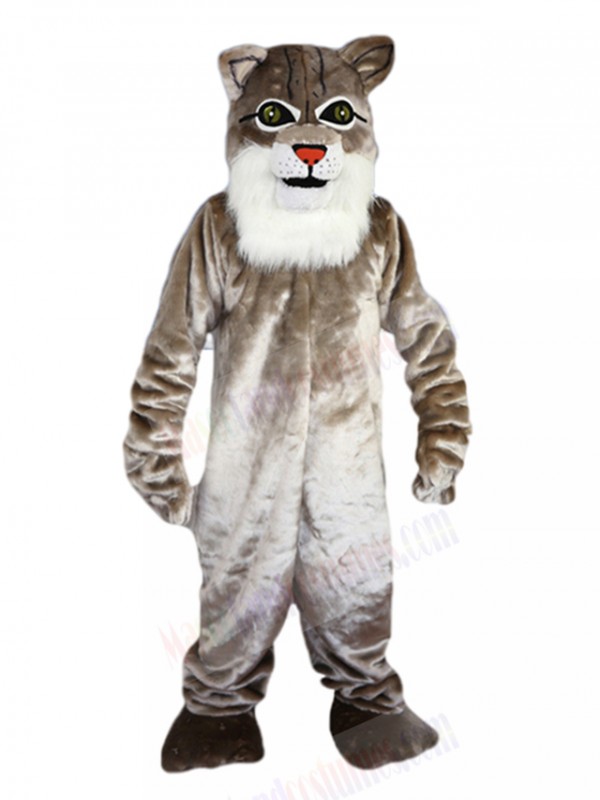 wildcat mascot costume