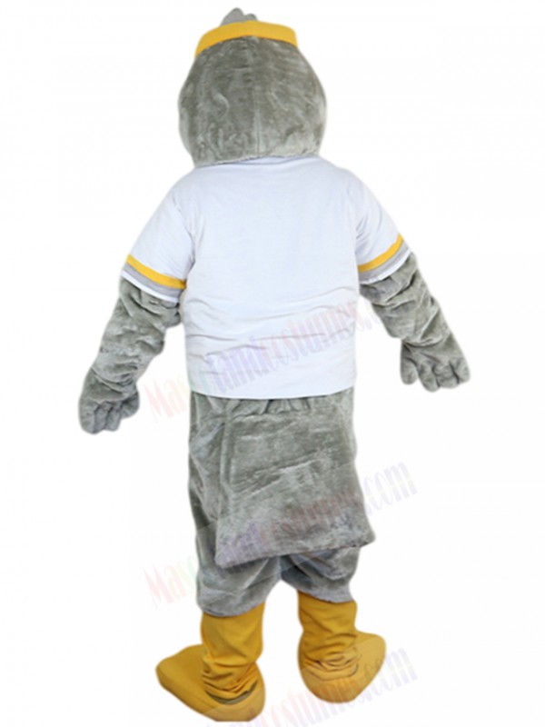 bird mascot costume
