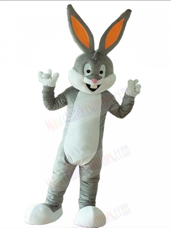 Rabbit mascot costume