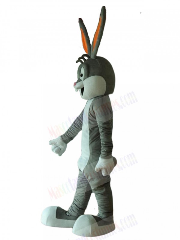 Rabbit mascot costume