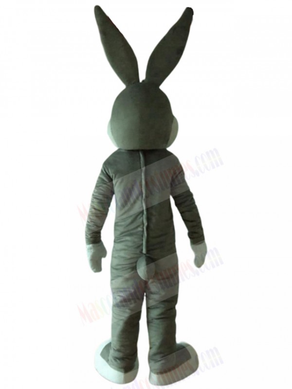 Rabbit mascot costume