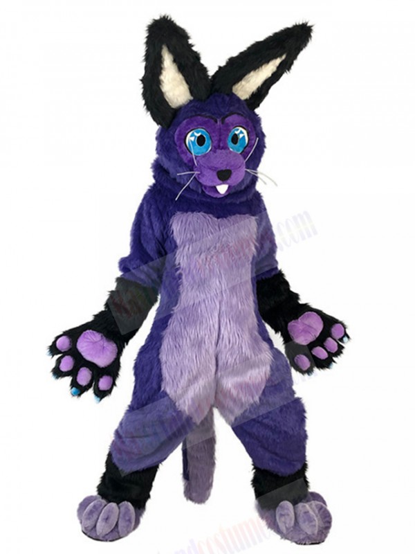 Rabbit mascot costume