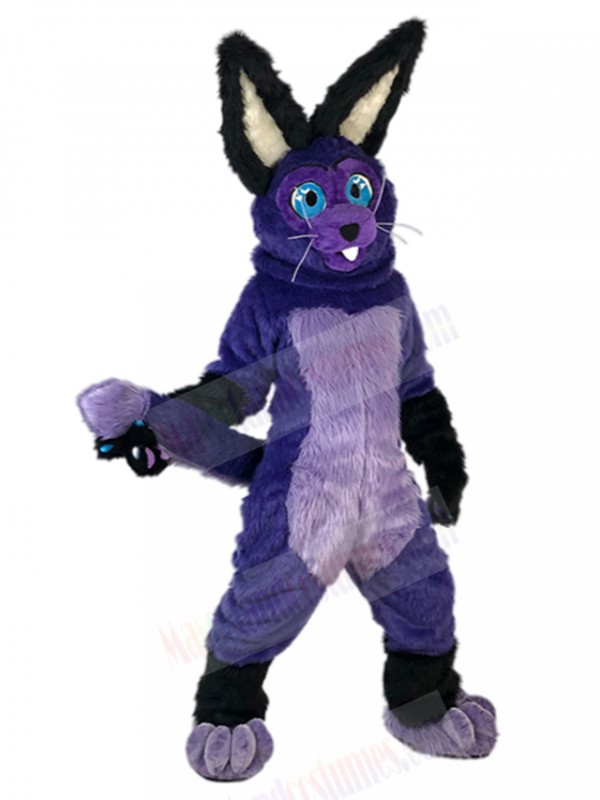Rabbit mascot costume