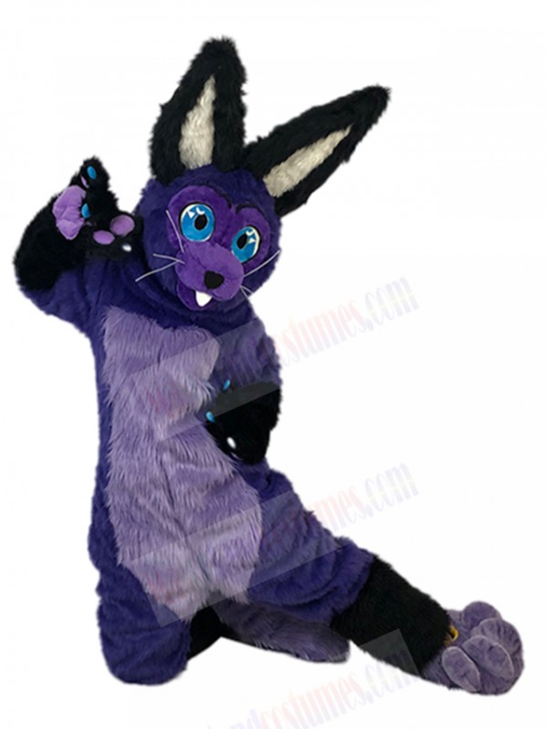 Rabbit mascot costume