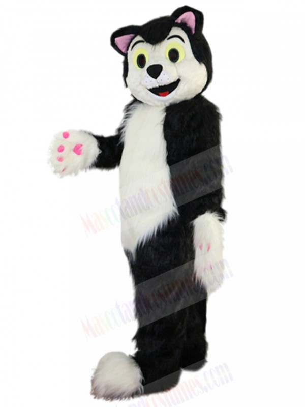 cat mascot costume