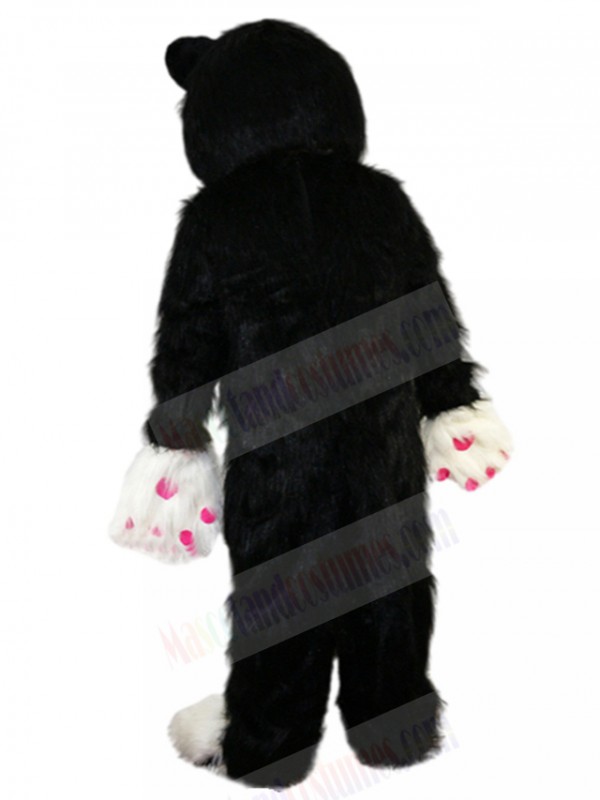 cat mascot costume