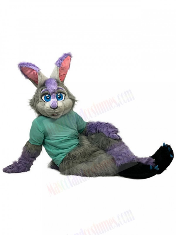 Rabbit mascot costume