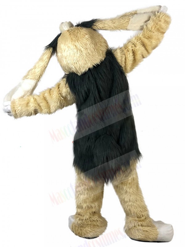 Rabbit mascot costume