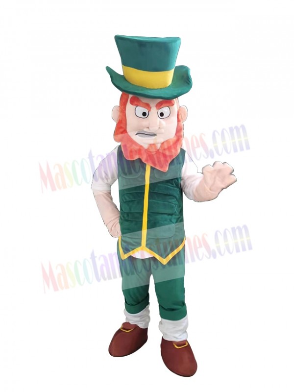 Elfe Boy mascot costume