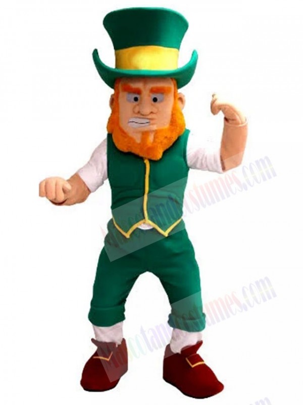 Leprechaun mascot costume