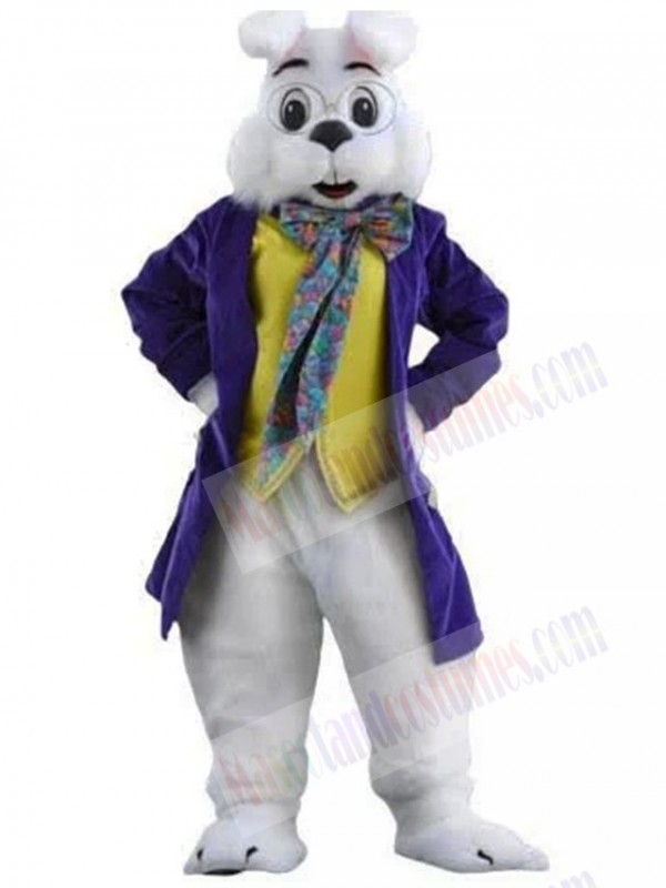 Wendell Rabbit mascot costume