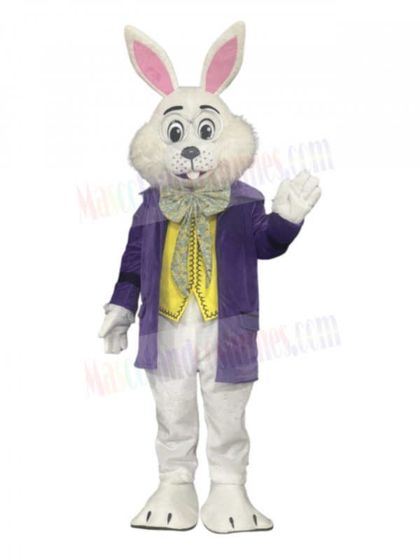 Easter Bunny Rabbit mascot costume