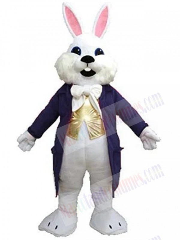 Easter Bunny mascot costume