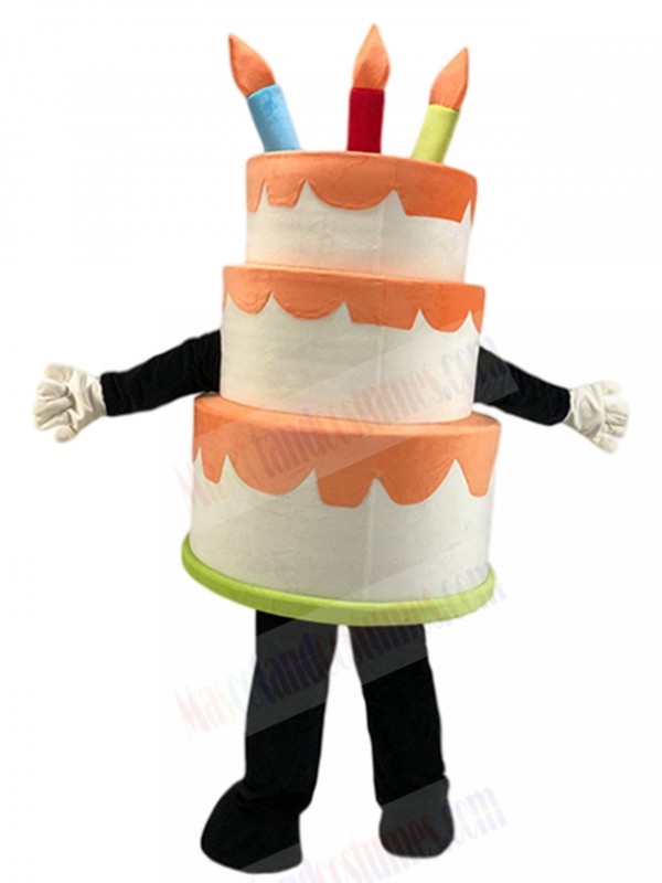 Cake mascot costume