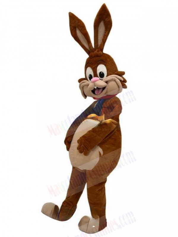 Rabbit mascot costume