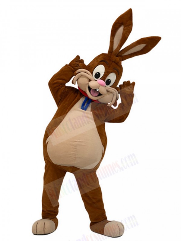 Rabbit mascot costume
