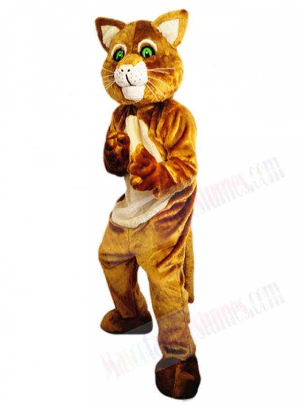 cat mascot costume