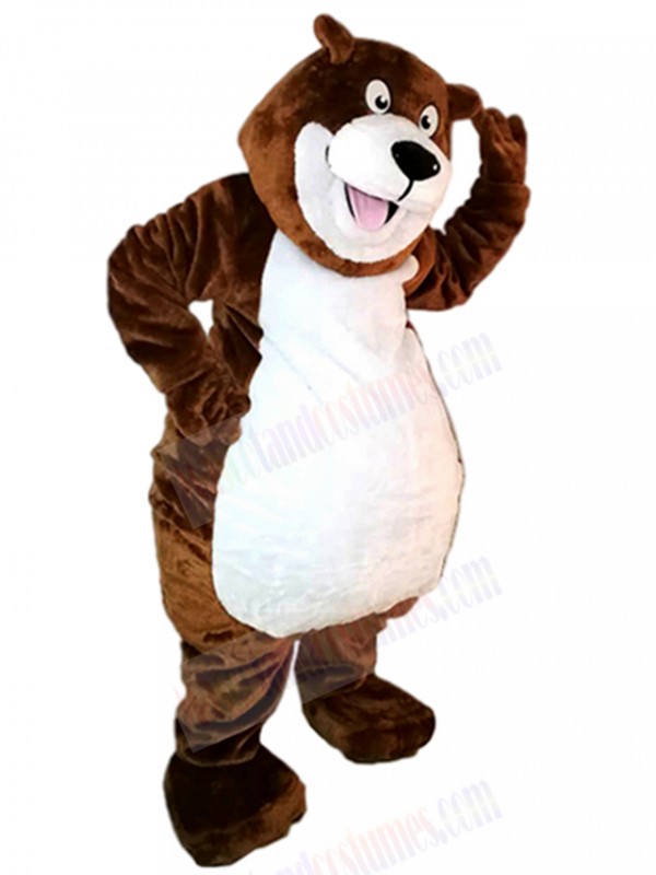Bear mascot costume