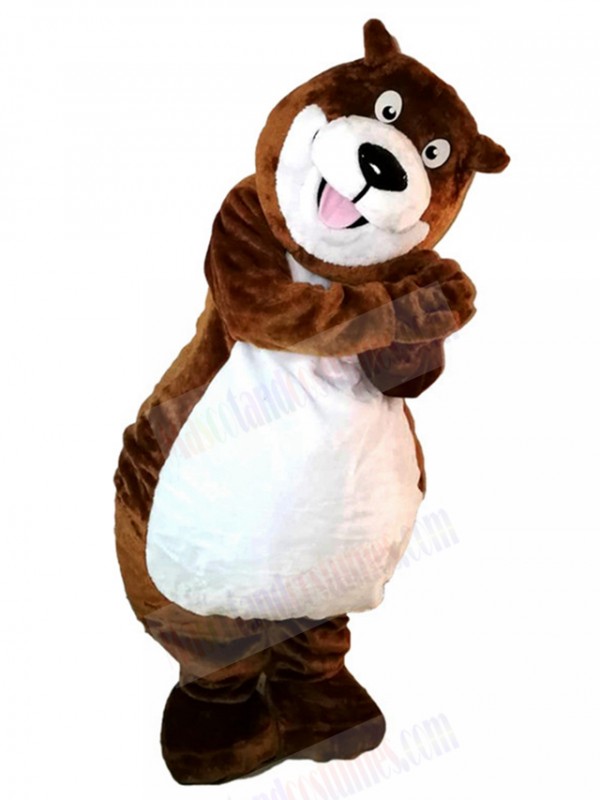 Bear mascot costume