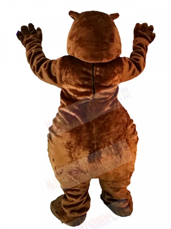 Bear mascot costume
