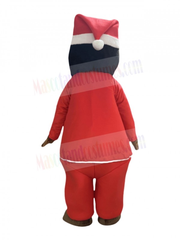 Man mascot costume
