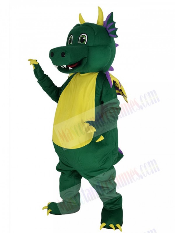 Dragon mascot costume