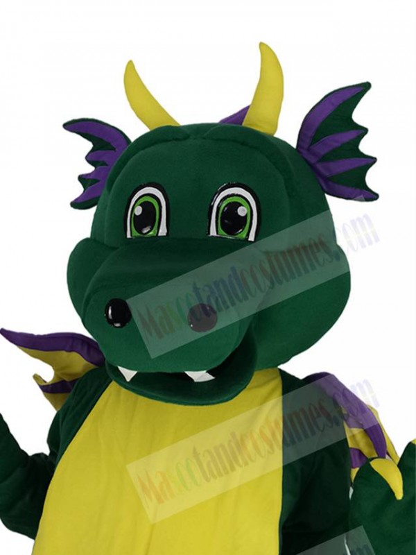 Dragon mascot costume