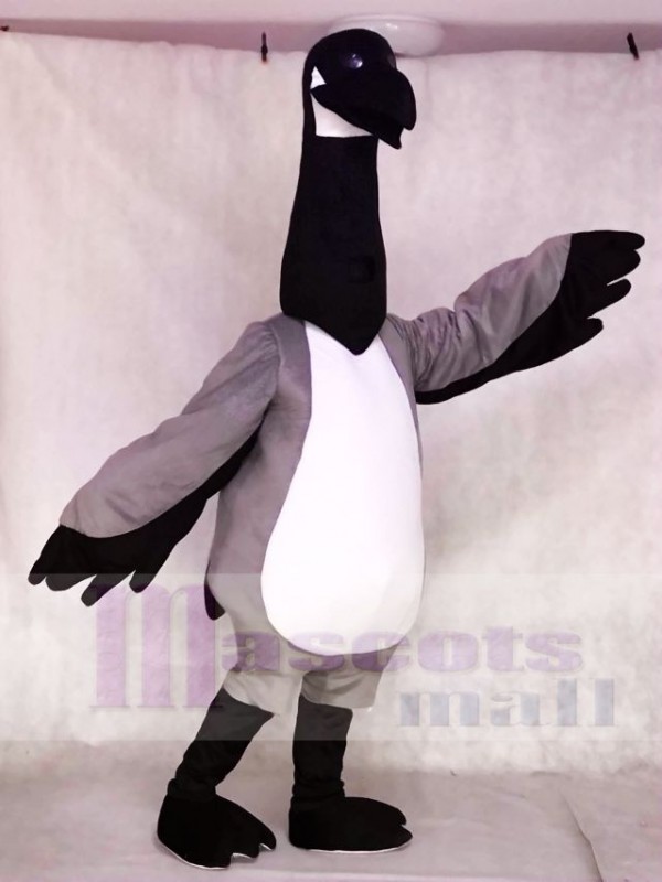 Black Head Canada Goose Mascot Costumes