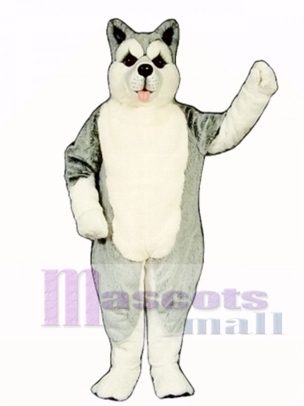 Cute Siberian Husky Dog Mascot Costume
