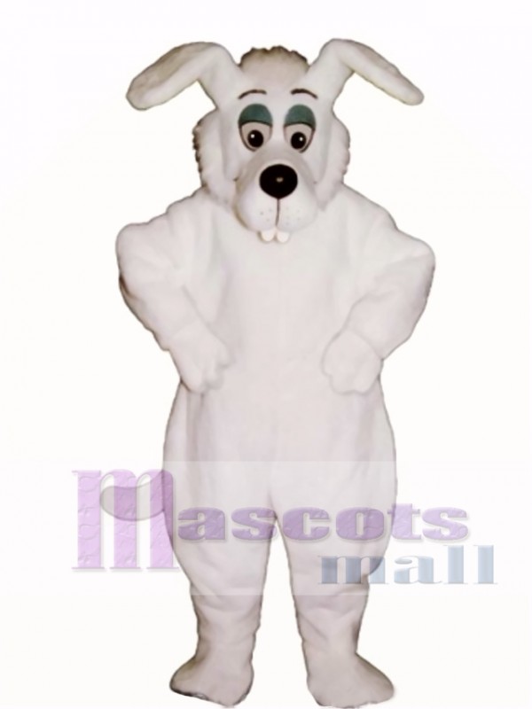 Cute Bucktooth Dog Mascot Costume