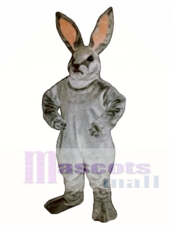 Easter Jack Bunny Rabbit Mascot Costume